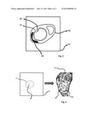 METHOD FOR DISPLAYING THE INFORMATION CONTAINED IN THREE-DIMENSIONAL     IMAGES OF THE HEART diagram and image