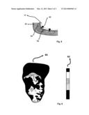 METHOD FOR DISPLAYING THE INFORMATION CONTAINED IN THREE-DIMENSIONAL     IMAGES OF THE HEART diagram and image