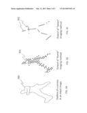 METHOD AND SYSTEM FOR FAST THREE-DIMENSIONAL IMAGING USING DEFOCUSING AND     FEATURE RECOGNITION diagram and image
