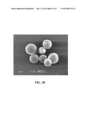 MEDICAL TREATMENT APPLICATIONS OF SWELLABLE AND DEFORMABLE MICROSPHERES diagram and image
