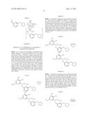 MODULATORS OF TOLL-LIKE RECEPTORS diagram and image