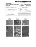 ALLOGENEIC MICROVASCULAR TISSUE FOR SOFT TISSUE TREATMENTS diagram and image