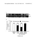 METHODS OF TREATMENT OF HEMOPHILIA diagram and image