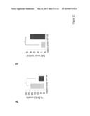 INHIBITORS OF MICRO-RNAS FOR USE FOR PREVENTING AND/OR ATTENUATING SKIN     AGEING AND/OR FOR HYDRATING SKIN diagram and image