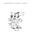 INHIBITORS OF VASCULAR ENDOTHELIAL GROWTH FACTOR (VEGF) RECEPTORS AND     METHODS OF USE THEREOF diagram and image