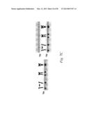 INHIBITORS OF VASCULAR ENDOTHELIAL GROWTH FACTOR (VEGF) RECEPTORS AND     METHODS OF USE THEREOF diagram and image