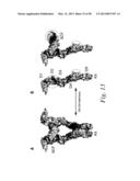 INHIBITORS OF VASCULAR ENDOTHELIAL GROWTH FACTOR (VEGF) RECEPTORS AND     METHODS OF USE THEREOF diagram and image