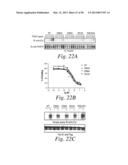 INHIBITORS OF VASCULAR ENDOTHELIAL GROWTH FACTOR (VEGF) RECEPTORS AND     METHODS OF USE THEREOF diagram and image