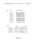 INHIBITORS OF VASCULAR ENDOTHELIAL GROWTH FACTOR (VEGF) RECEPTORS AND     METHODS OF USE THEREOF diagram and image