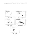 METHODS FOR MODULATING HEMATOPOIESIS AND VASCULAR GROWTH diagram and image