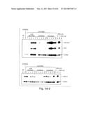 METHODS FOR MODULATING HEMATOPOIESIS AND VASCULAR GROWTH diagram and image