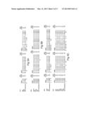 Human CGRP Receptor Binding Proteins diagram and image