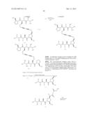 IAP BIR DOMAIN BINDING COMPOUNDS diagram and image