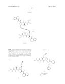 IAP BIR DOMAIN BINDING COMPOUNDS diagram and image