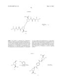 IAP BIR DOMAIN BINDING COMPOUNDS diagram and image