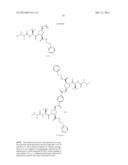 IAP BIR DOMAIN BINDING COMPOUNDS diagram and image