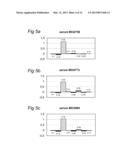 PEPTIDES, CONJUGATES AND METHOD FOR INCREASING IMMUNOGENICITY OF A VACCINE diagram and image