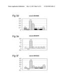 PEPTIDES, CONJUGATES AND METHOD FOR INCREASING IMMUNOGENICITY OF A VACCINE diagram and image