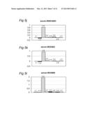 PEPTIDES, CONJUGATES AND METHOD FOR INCREASING IMMUNOGENICITY OF A VACCINE diagram and image