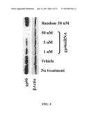 RETINOID-LIPOSOMES FOR TREATING FIBROSIS diagram and image