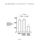 RETINOID-LIPOSOMES FOR TREATING FIBROSIS diagram and image