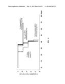 RETINOID-LIPOSOMES FOR TREATING FIBROSIS diagram and image