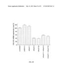 RETINOID-LIPOSOMES FOR TREATING FIBROSIS diagram and image