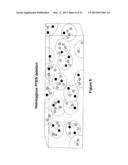 METHODS, PROBE SETS, AND KITS FOR DETECTION OF DELETION OF TUMOR     SUPPRESSOR GENES BY FLUORESCENCE IN SITU HYBRIDIZATION diagram and image