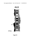 METHODS, PROBE SETS, AND KITS FOR DETECTION OF DELETION OF TUMOR     SUPPRESSOR GENES BY FLUORESCENCE IN SITU HYBRIDIZATION diagram and image