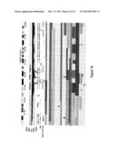 METHODS, PROBE SETS, AND KITS FOR DETECTION OF DELETION OF TUMOR     SUPPRESSOR GENES BY FLUORESCENCE IN SITU HYBRIDIZATION diagram and image