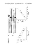 One-step method for quantitative determination of uracil in DNA by     real-time PCR diagram and image