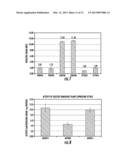 PLANTS EXPRESSING CELL WALL DEGRADING ENZYMES AND EXPRESSION VECTORS diagram and image