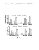 PLANTS EXPRESSING CELL WALL DEGRADING ENZYMES AND EXPRESSION VECTORS diagram and image