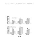 PLANTS EXPRESSING CELL WALL DEGRADING ENZYMES AND EXPRESSION VECTORS diagram and image