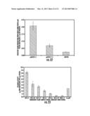 PLANTS EXPRESSING CELL WALL DEGRADING ENZYMES AND EXPRESSION VECTORS diagram and image