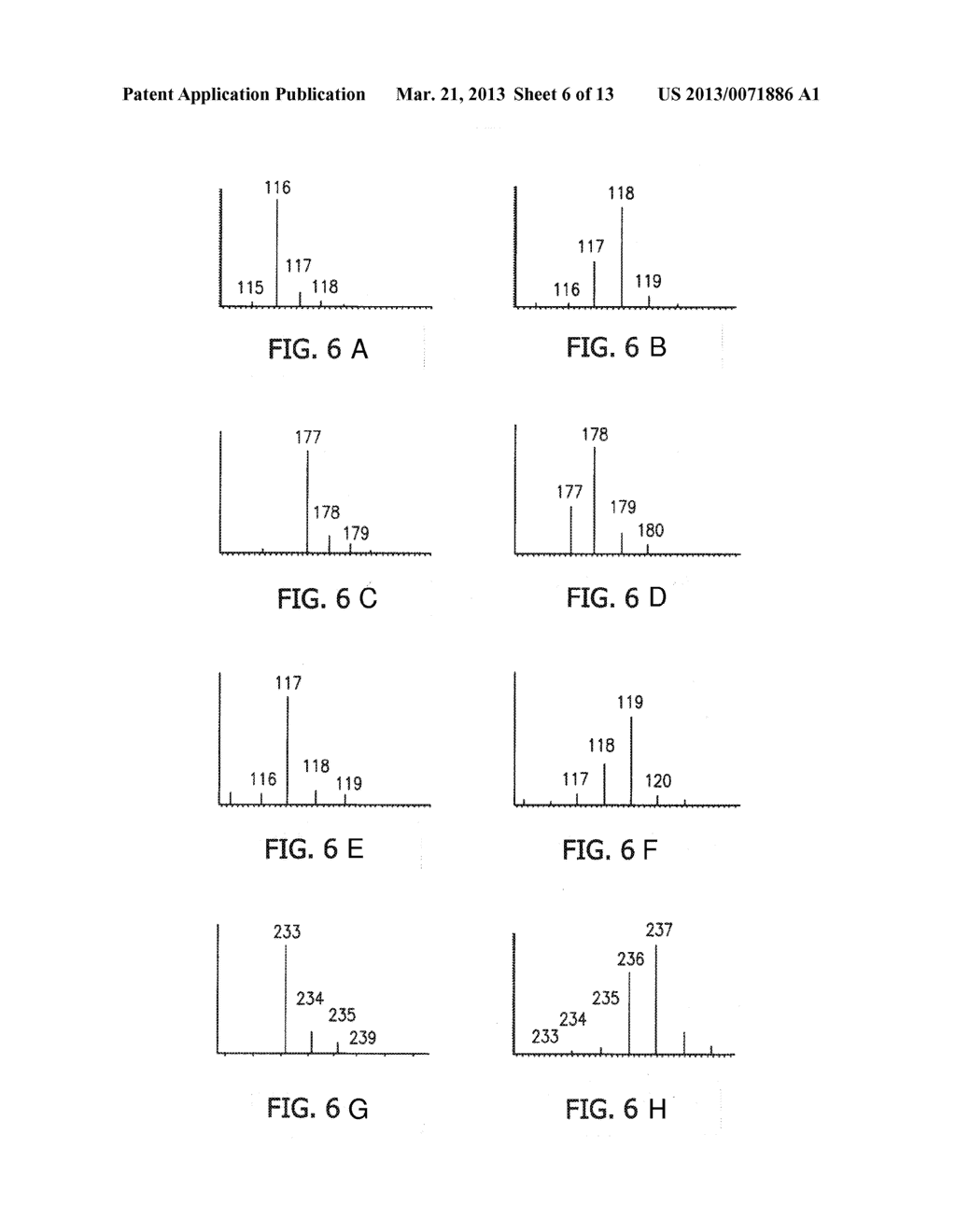 MICROORGANISMS FOR THE PRODUCTION OF 1,4-BUTANEDIOL - diagram, schematic, and image 07