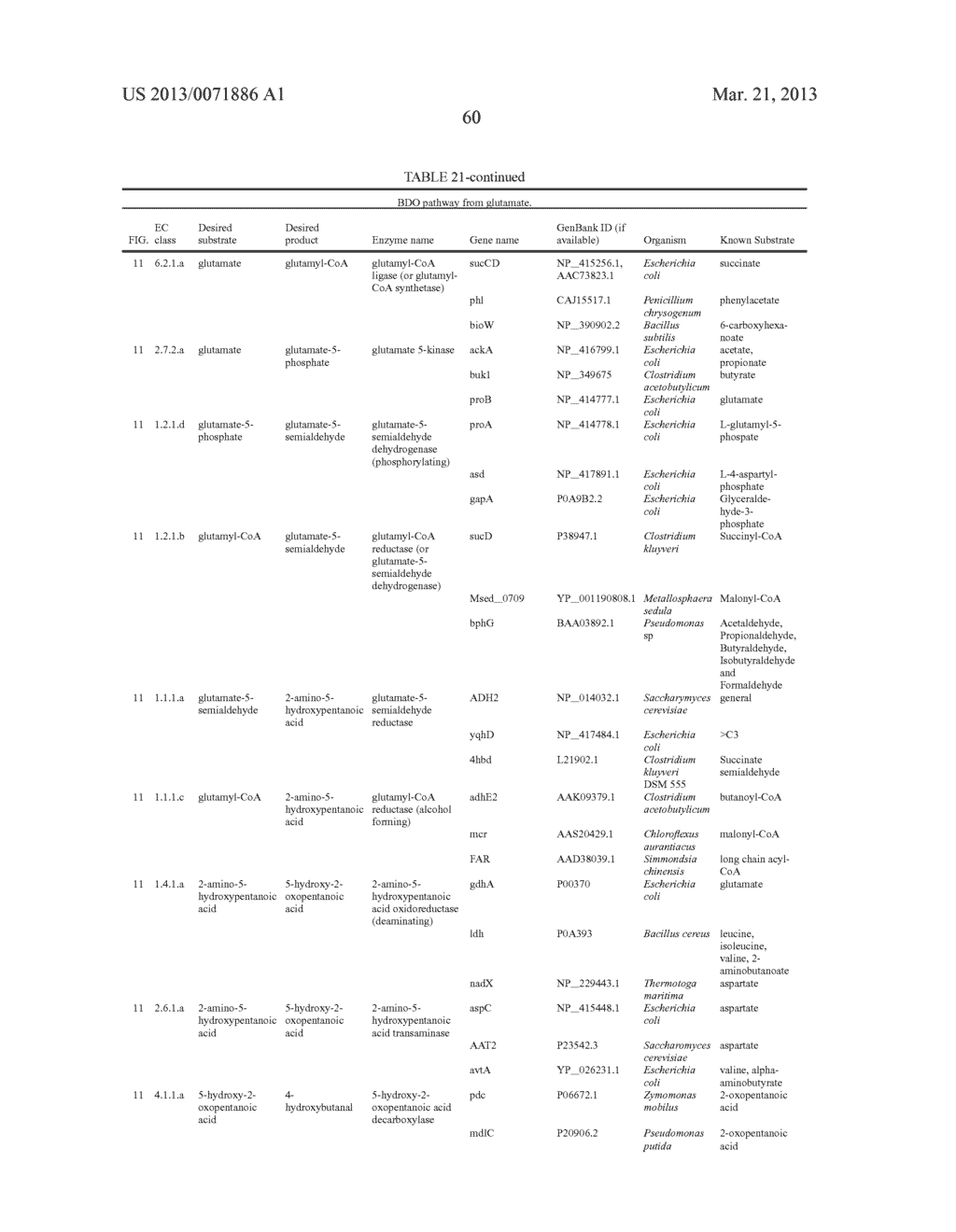 MICROORGANISMS FOR THE PRODUCTION OF 1,4-BUTANEDIOL - diagram, schematic, and image 74