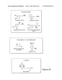 METHODS OF CHEMOSELECTIVE DERIVATION OF MULTIPLE CLASSES OF METABOLITES diagram and image