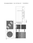 PHYSICAL MAP CONSTRUCTION OF WHOLE GENOME AND POOLED CLONE MAPPING IN     NANOCHANNEL ARRAY diagram and image