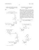 PHOTOCLEAVABLE LABELED NUCLEOTIDES AND NUCLEOSIDES AND METHODS FOR THEIR     USE IN IN DNA SEQUENCING diagram and image