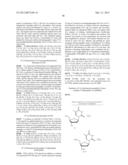 PHOTOCLEAVABLE LABELED NUCLEOTIDES AND NUCLEOSIDES AND METHODS FOR THEIR     USE IN IN DNA SEQUENCING diagram and image