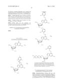 PHOTOCLEAVABLE LABELED NUCLEOTIDES AND NUCLEOSIDES AND METHODS FOR THEIR     USE IN IN DNA SEQUENCING diagram and image