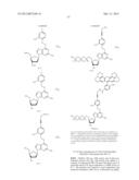 PHOTOCLEAVABLE LABELED NUCLEOTIDES AND NUCLEOSIDES AND METHODS FOR THEIR     USE IN IN DNA SEQUENCING diagram and image