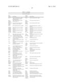 THERANOSTIC AND DIAGNOSTIC METHODS USING SPARC AND HSP90 diagram and image