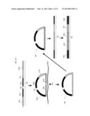 Methods for Synthesizing Pools of Probes diagram and image