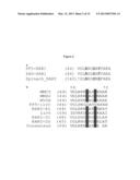 KETOL-ACID REDUCTOISOMERASE USING NADH diagram and image