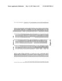 Compositions And Methods For Immunodominant Antigens of Mycobacterium     Tuberculosis diagram and image