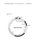 BIOSYNTHETIC PROLINE/ALANINE RANDOM COIL POLYPEPTIDES AND THEIR USES diagram and image