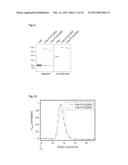 BIOSYNTHETIC PROLINE/ALANINE RANDOM COIL POLYPEPTIDES AND THEIR USES diagram and image