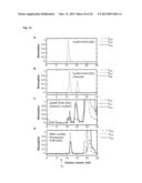 BIOSYNTHETIC PROLINE/ALANINE RANDOM COIL POLYPEPTIDES AND THEIR USES diagram and image